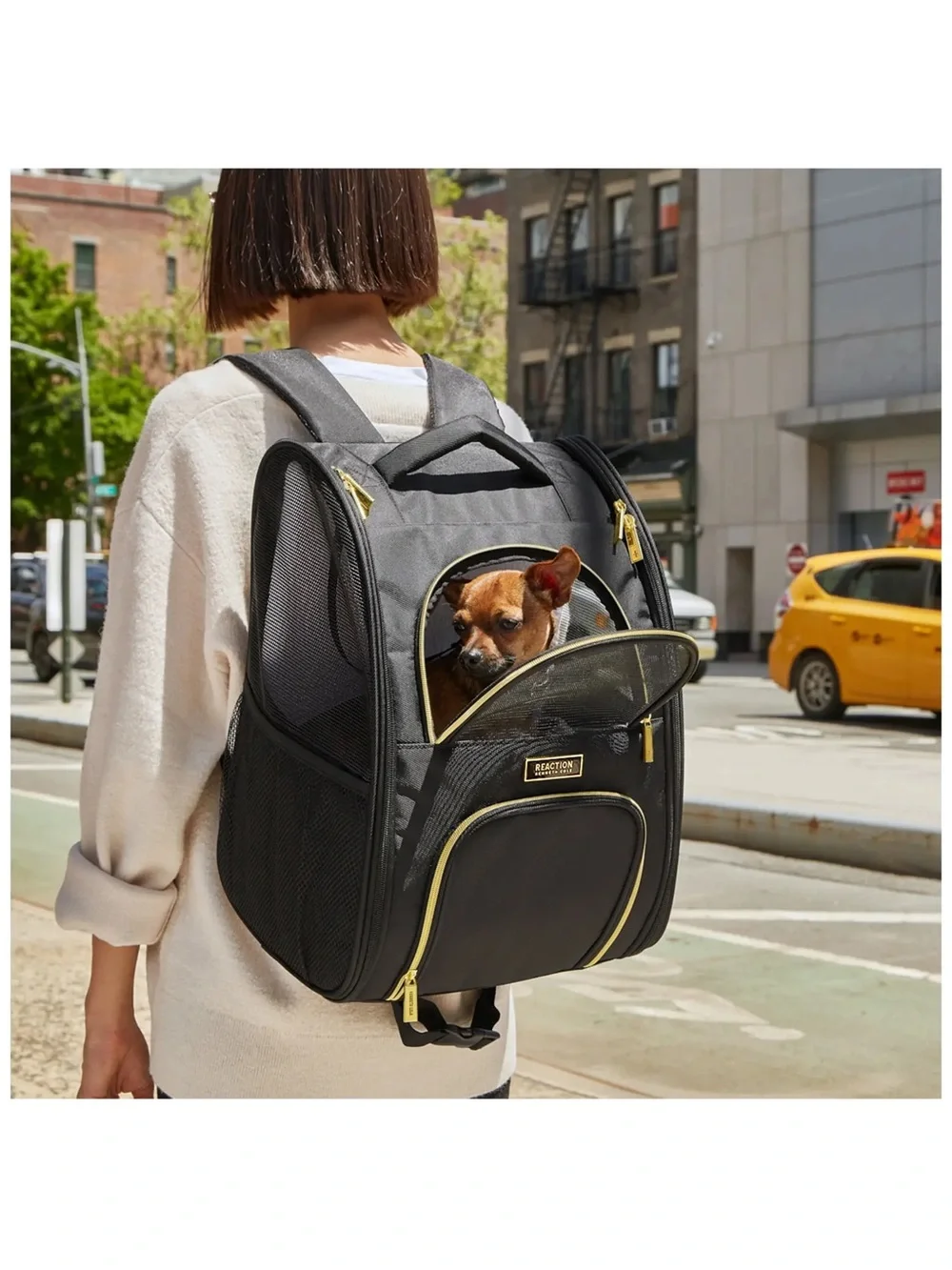 Kenneth Cole Black Pet Carrier Backpack with Gold Trim